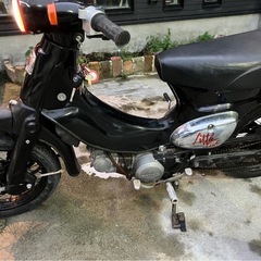 リトルカブ　50