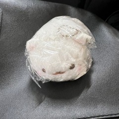 ポメラニアンもち、ふわふわぬいぐるみ、「しらたま」を「くろみつ」...