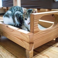 猫　爪研ぎ　ベッド風