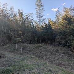 土地の均しのお手伝い