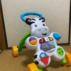 しまうま
