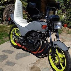 GPZ250
