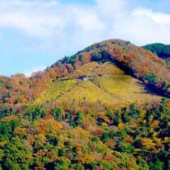 ▶第６回 京都 / 大文字山！(03月09日)