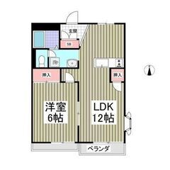 🚗駐車場複数台利用可能！広々1LDK！0️⃣ 敷金＆礼金0ヶ月！0️⃣ コンビニ・スーパー徒歩圏内！の画像