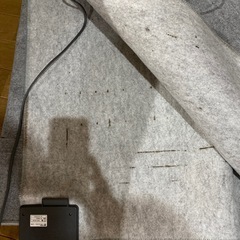 決まりました★ホットカーペットの画像