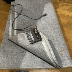 決まりました★ホットカーペット