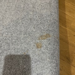 決まりました★ホットカーペットの画像