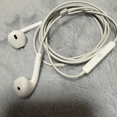 Apple iPhone純正イヤホン（ライトニングタイプ）の画像