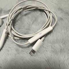 Apple iPhone純正イヤホン（ライトニングタイプ）の画像