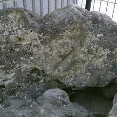 庭石　溶岩石の画像