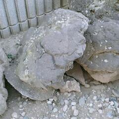 庭石　溶岩石の画像