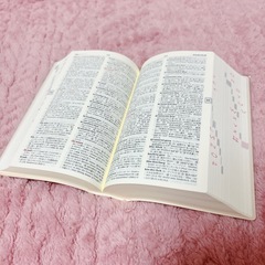 新アポロン独和辞典の画像