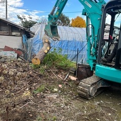 庭木、屋敷の木、など伐採します！ − 福島県