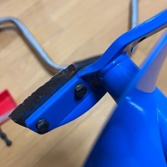 ワキサギドリルの画像