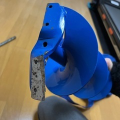 ワキサギドリルの画像