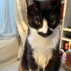 生後4ヶ月くらい 白黒 − 大分県