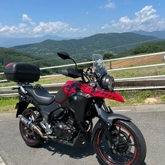 28日火曜日ですが