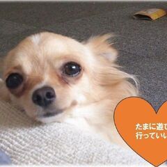 ☆障がい者グループホームＦｅｅｌ（フィール）で世話人さん・生活支援員さんを急募します☆の画像