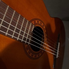 クラシックギター　Julian g120の画像