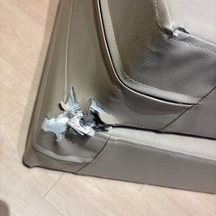 ドッグ　ステップ　硬め　踏み台の画像