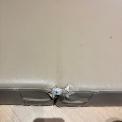 ドッグ　ステップ　硬め　踏み台の画像