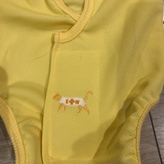 猫ちゃんウエアLサイズの画像