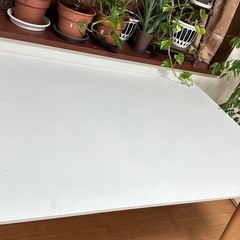 ダイニングテーブルの画像