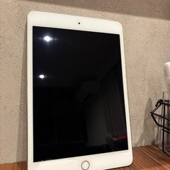 iPad mini4