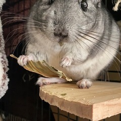 お友達になりましょう!!