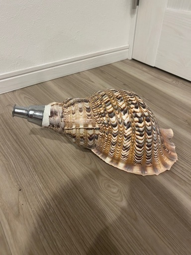ほら貝