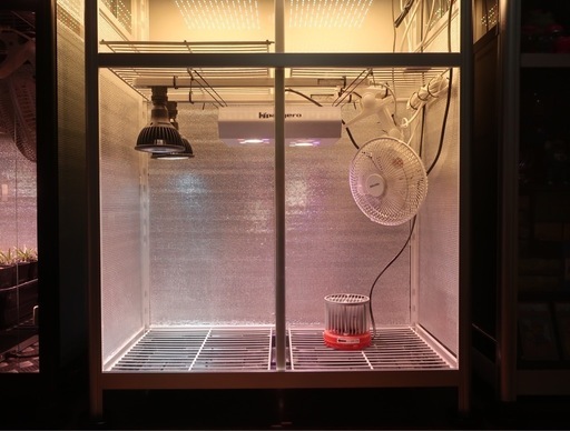 【無料配達相談可】 美品 ガラス温室 植物育成セット 画像右側 無料配達相談可】美品 ガラス温室 植物育成セット 画像右側