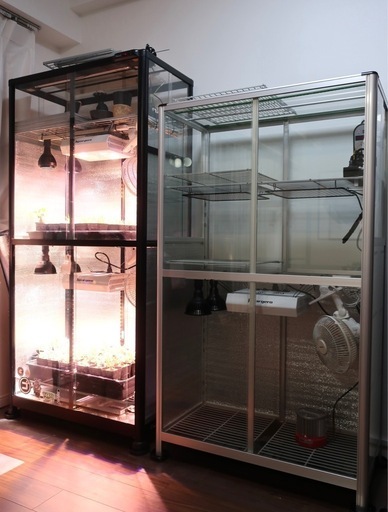 【無料配達相談可】 美品 ガラス温室 植物育成セット 画像右側 無料配達相談可】美品 ガラス温室 植物育成セット 画像右側