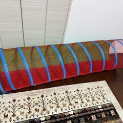 ハコイヌ、ボールプール等の画像