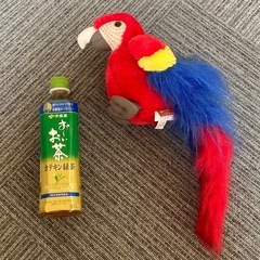 Adventure Planet ★ コンゴウインコ　ぬいぐるみ　希少の画像