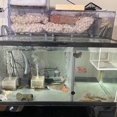 90cmガラス水槽 ぷぅ工房上部フィルター リオポンプ2100