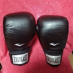 ボクシング　グローブ　 エバーラスト　 Everlast　 Mサ...