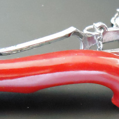 赤珊瑚　Red Coral 　红珊瑚 认证的　Красный коралл の画像