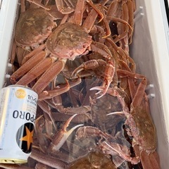 太平洋沖の魚介類購入の相談、承ります。高値ではありますが蟹類も有...