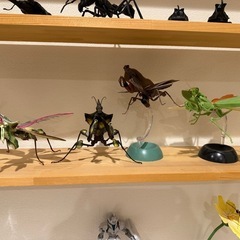 いきもの大図鑑　ニセハナマオウカマキリ　他