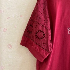 レディースＴシャツの画像