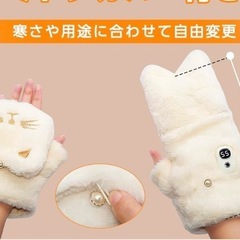 新品未使用　電熱手袋の画像