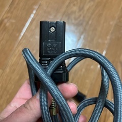 コタツのコードの画像