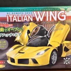 RC リモートオープン　イタリアンウィング ラジコン