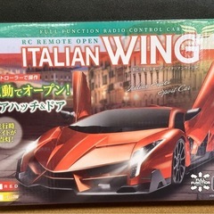 RC リモートオープン　イタリアンウィング ラジコンの画像