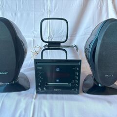 SONY TYPE-R MDLP
