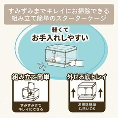 ペットがよく見えるクリアケージの画像