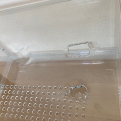 ペットがよく見えるクリアケージの画像