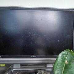 テレビ「大」の画像