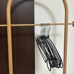 ポールハンガー、ワイヤーハンガー10本セットの画像