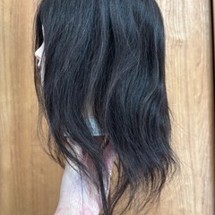 カットウィッグの画像
